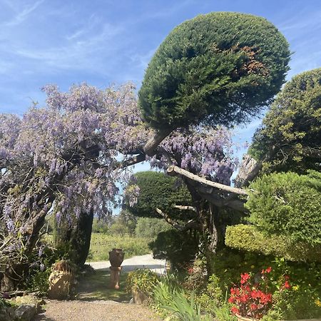 La Maison De Justine Grimaud Εξωτερικό φωτογραφία