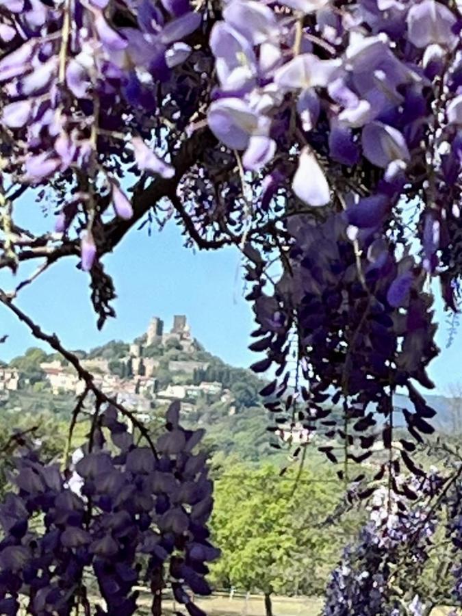La Maison De Justine Grimaud Εξωτερικό φωτογραφία