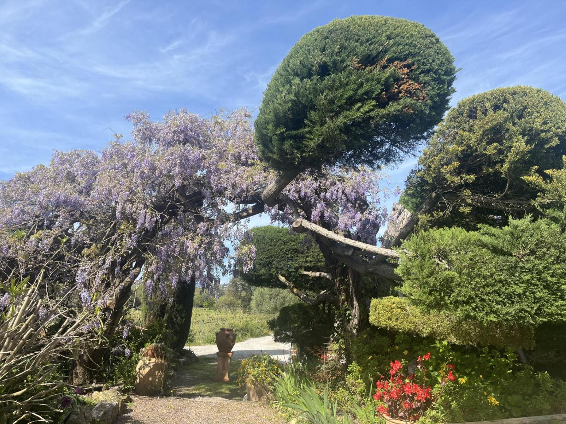 La Maison De Justine Grimaud Εξωτερικό φωτογραφία